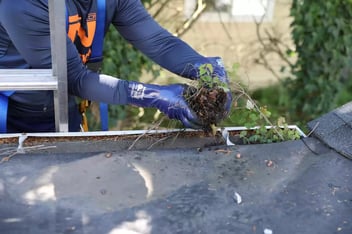 Cleaning Your Gutters Helps You Save Money