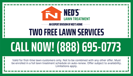 NH-Coupon-Template-Free Lawn