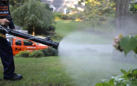 Lawn Care Services in Maryland