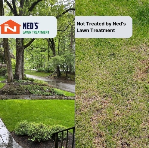 Lawn Care Services in New Jersey